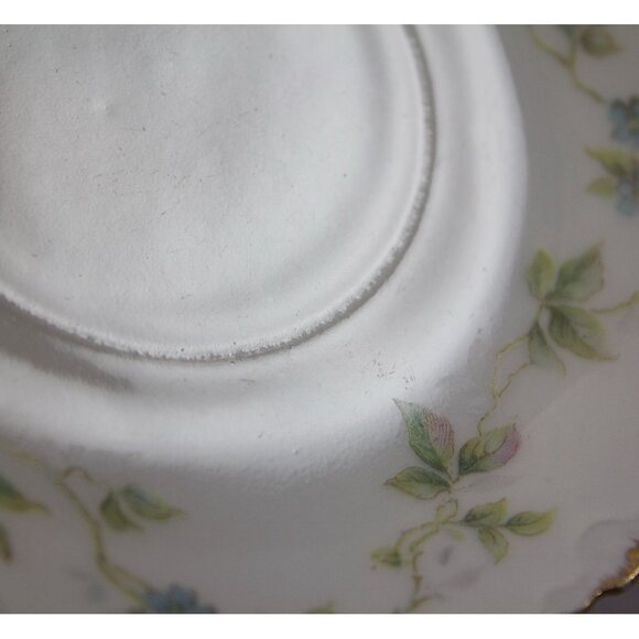 Rosenthal R C Versailles Bavaria Porcelain Cup and Saucer Set Floral Roses - Picture 14 of 14